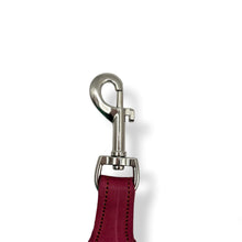 Load image into Gallery viewer, Woven Dog Leash