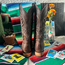 Load image into Gallery viewer, Cater Men Boots (Moka)