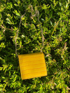 Lizette Mini Crossbody Bag