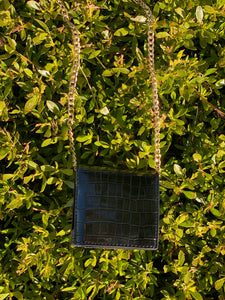 Lizette Mini Crossbody Bag